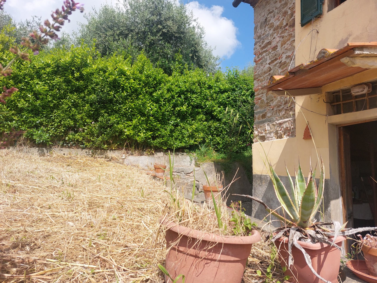 Casa indipendente con giardino a Carmignano