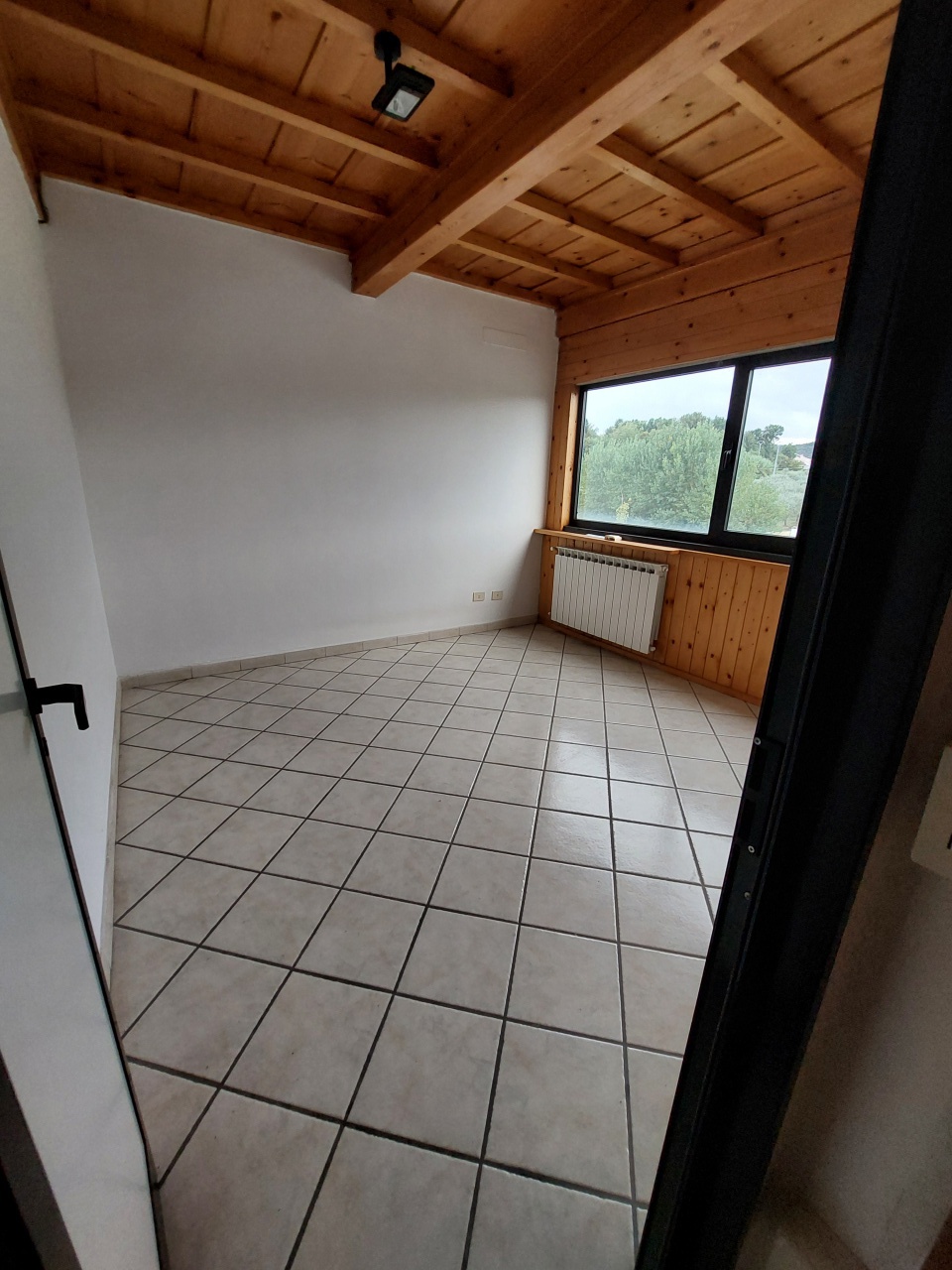 Capannone in affitto a Carmignano