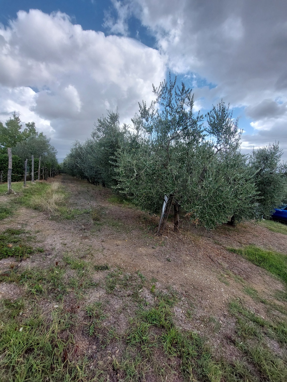 Terreno in vendita a Quarrata