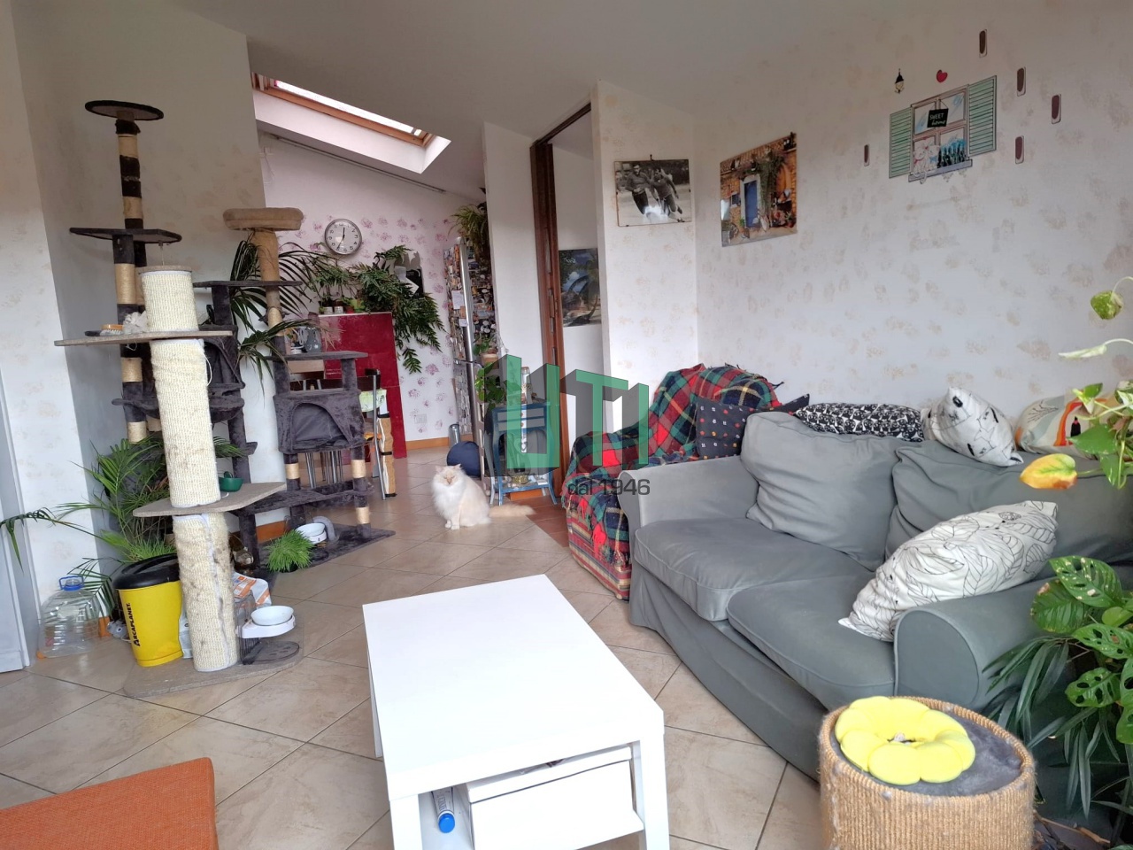 Quadrilocale con box in loc. le corti, Rignano sull'Arno