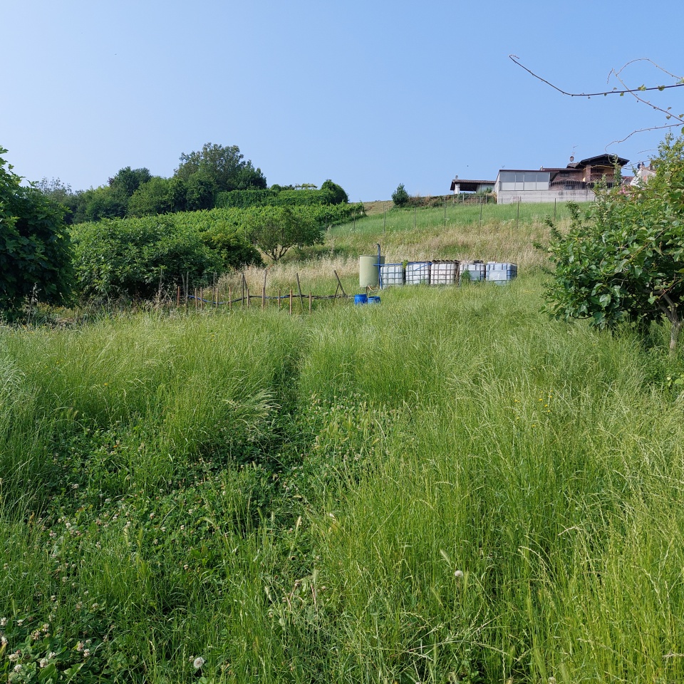 Terreno in vendita a Stradella