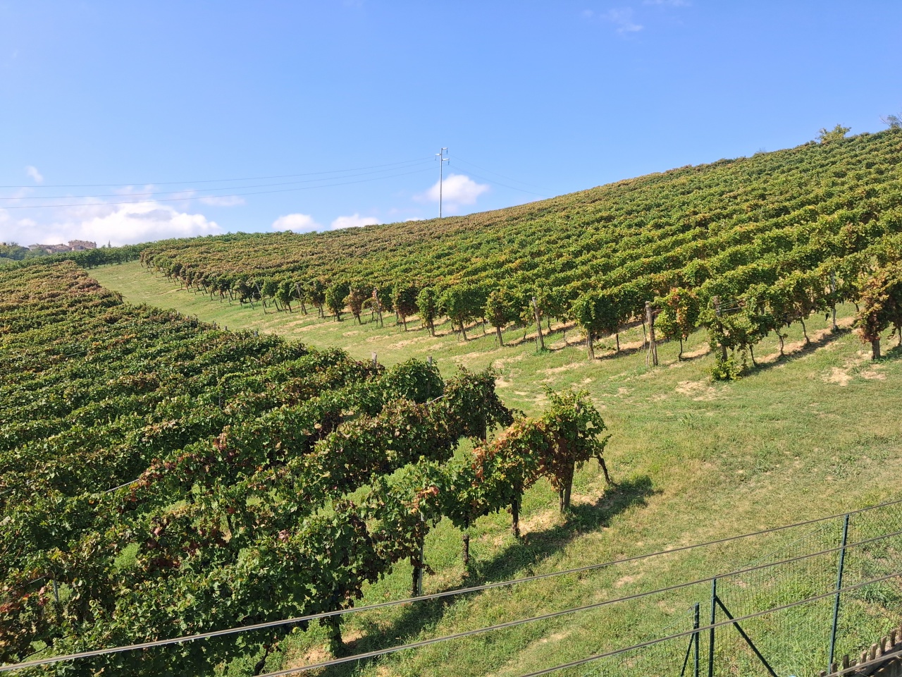 Bilocale in vendita a Montescano