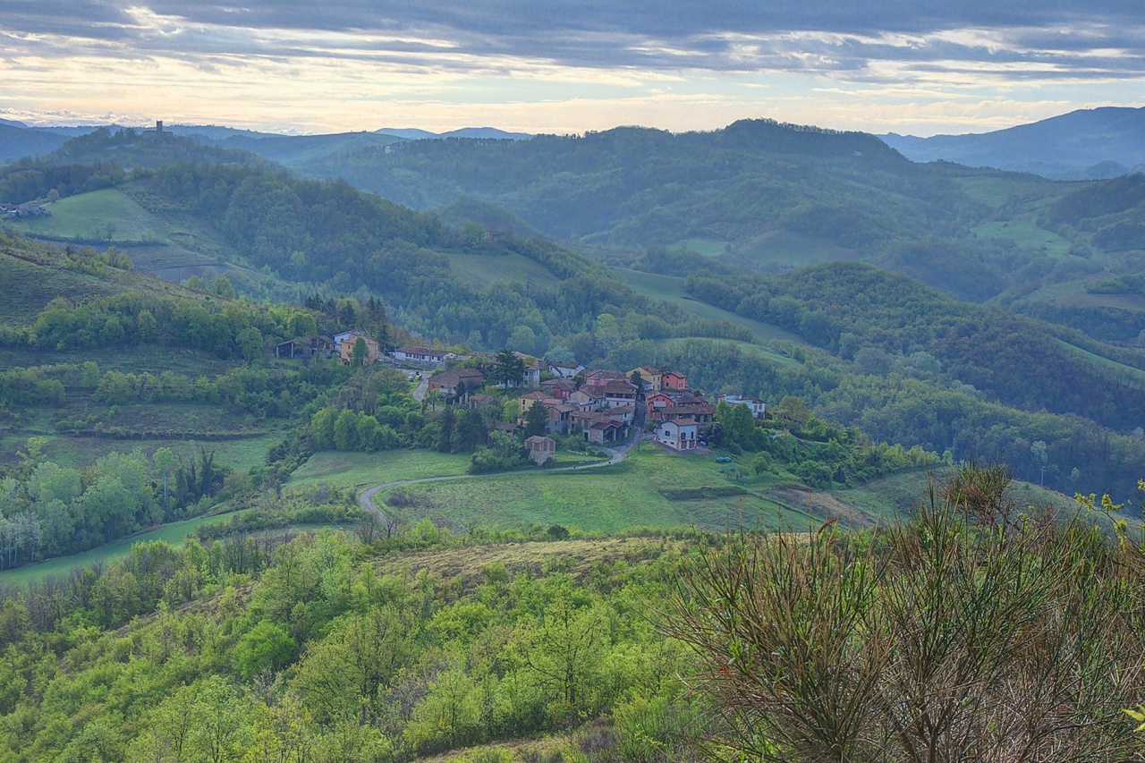 Attività commerciale in vendita a Borgo Priolo