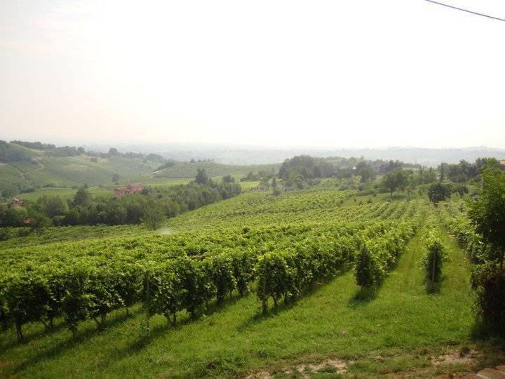 Terreno in vendita a Santa Maria della Versa
