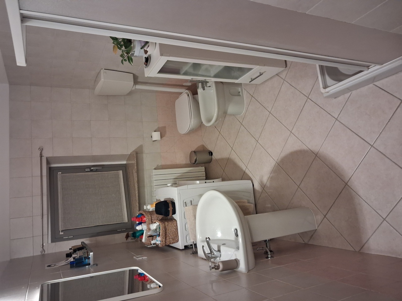 immagine annuncio 5 di 6