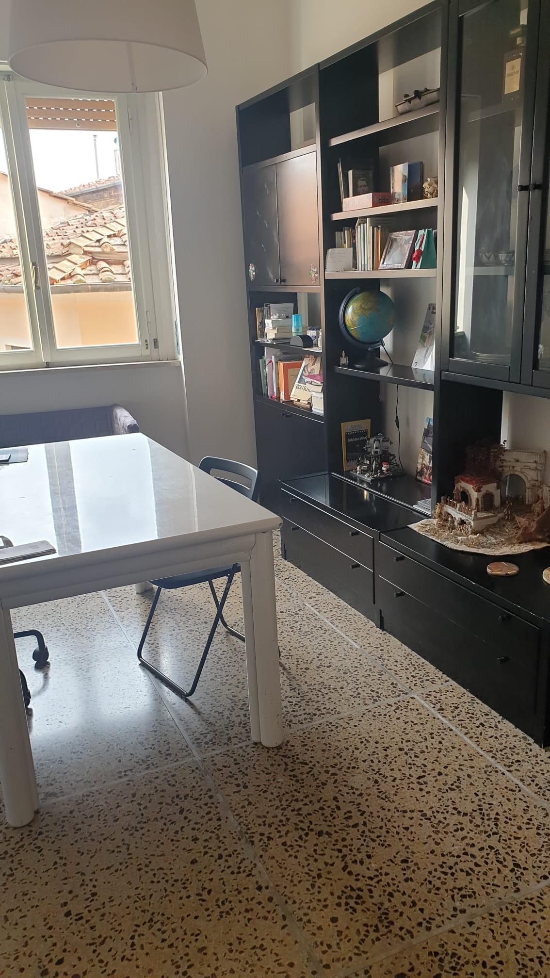 Quadrilocale arredato in affitto, Pisa lungarni