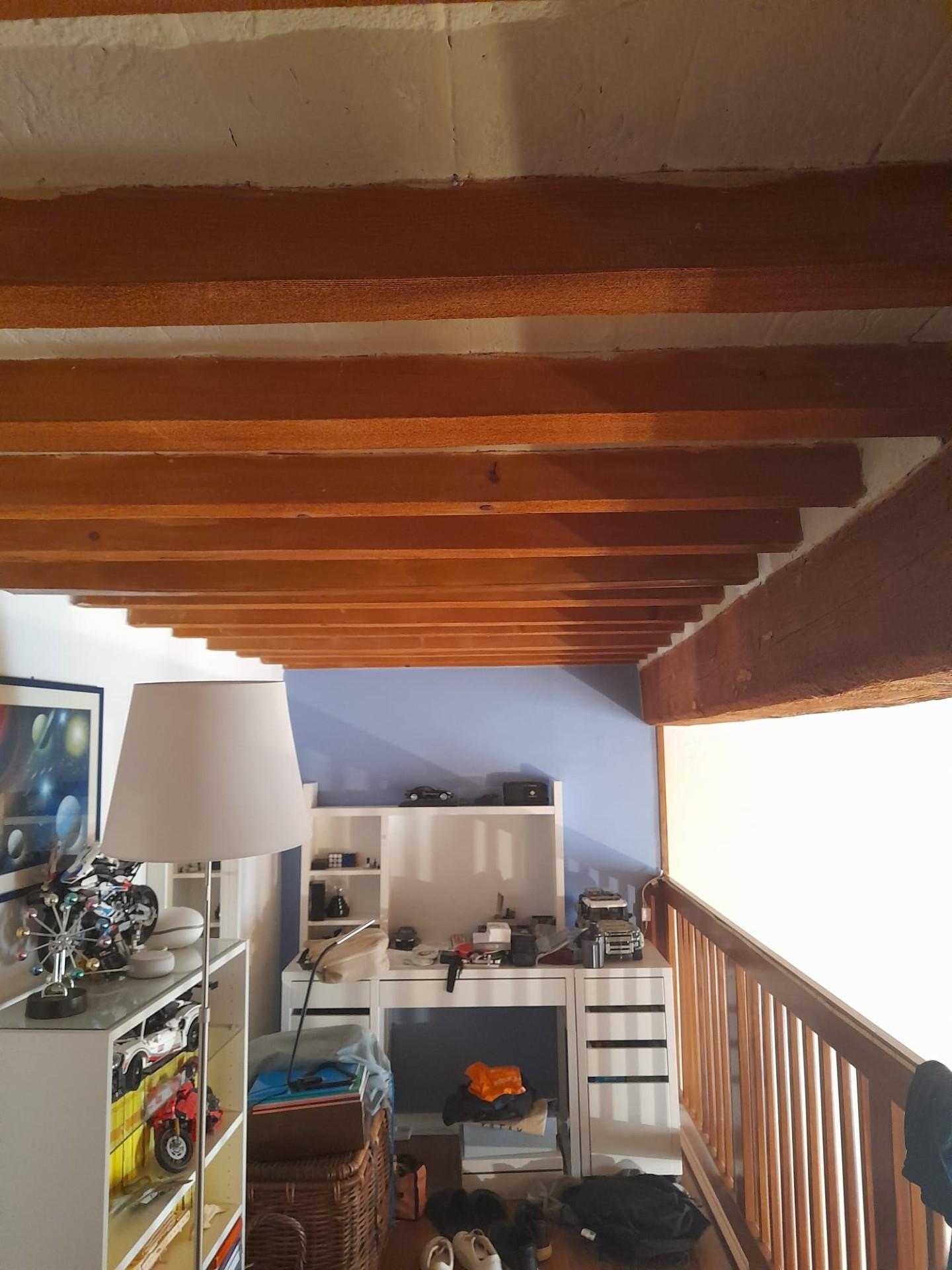 Stanza Singola in affitto a Pisa