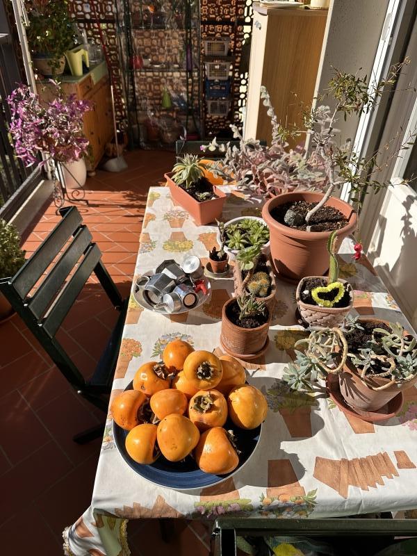 Appartamento con terrazzi a Pontassieve