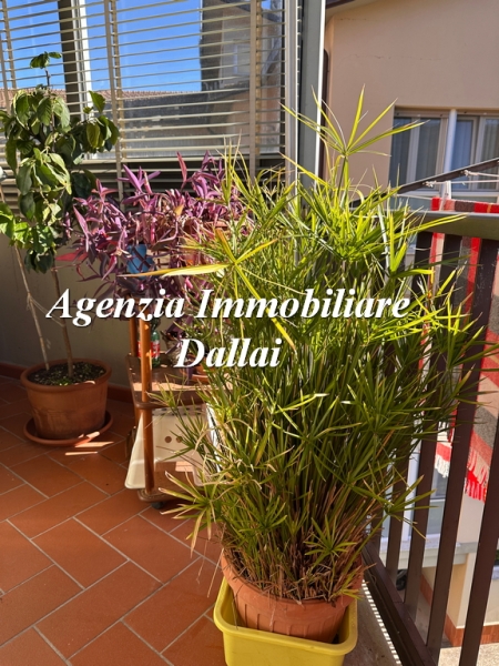 Appartamento con terrazzi a Pontassieve