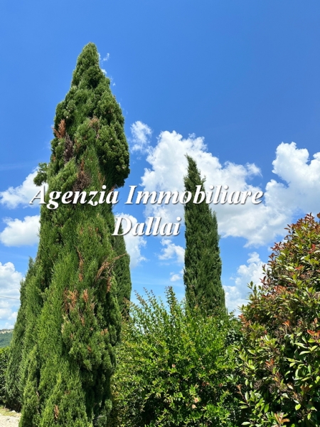 Appartamento con giardino a Barberino di Mugello