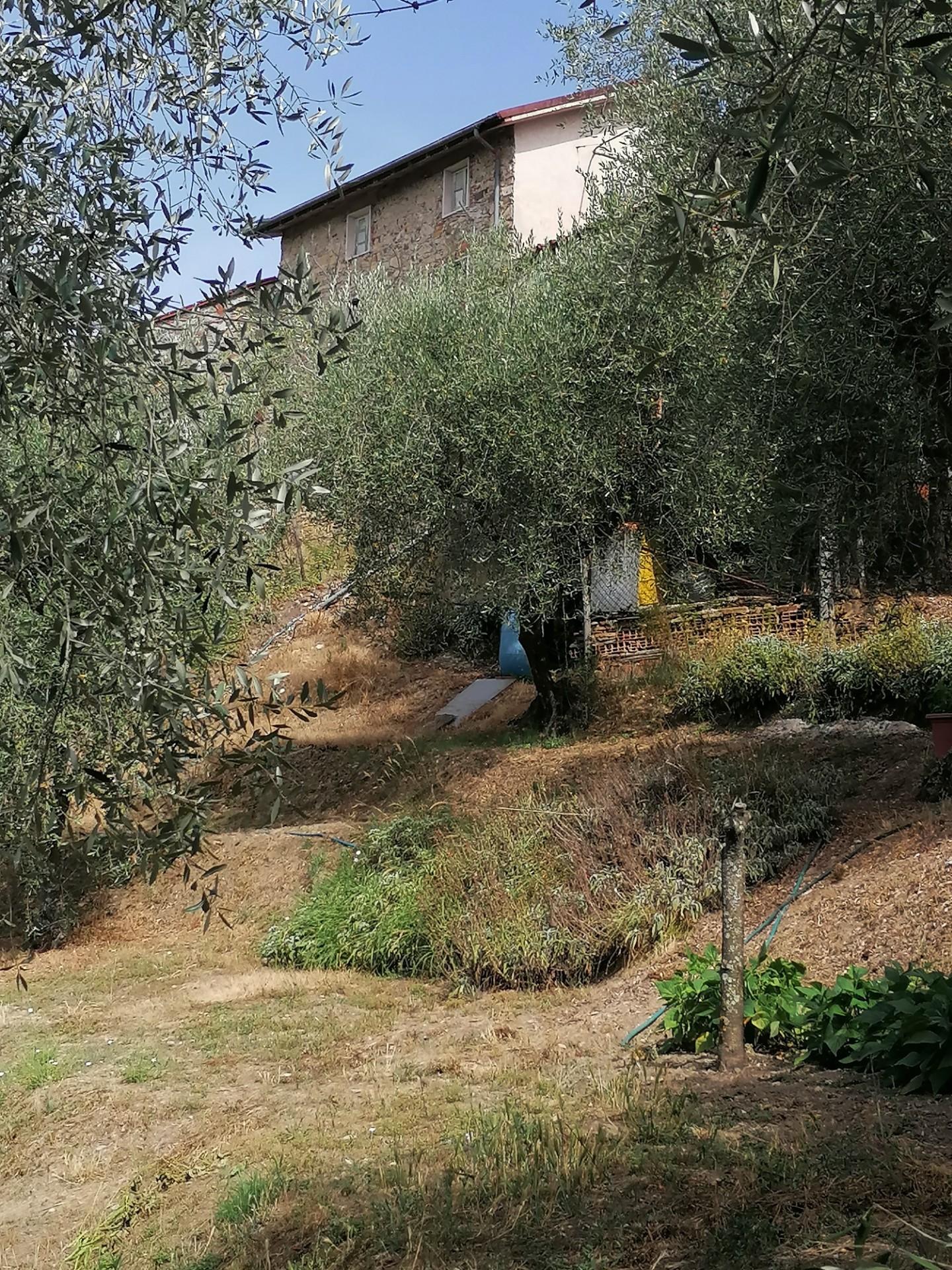 Casa indipendente con giardino, Lucca piazzano