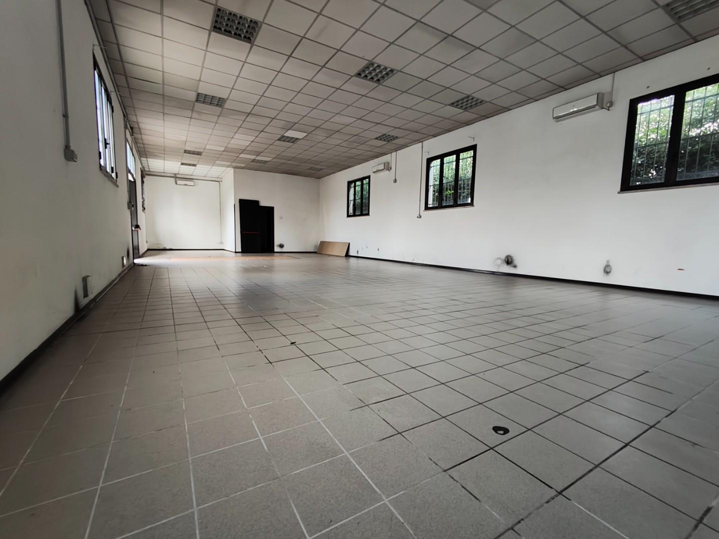 Capannone in affitto, Capannori santa margherita