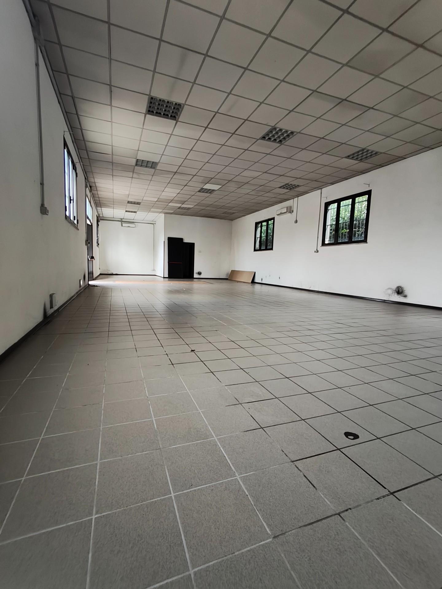 Capannone in affitto, Capannori santa margherita