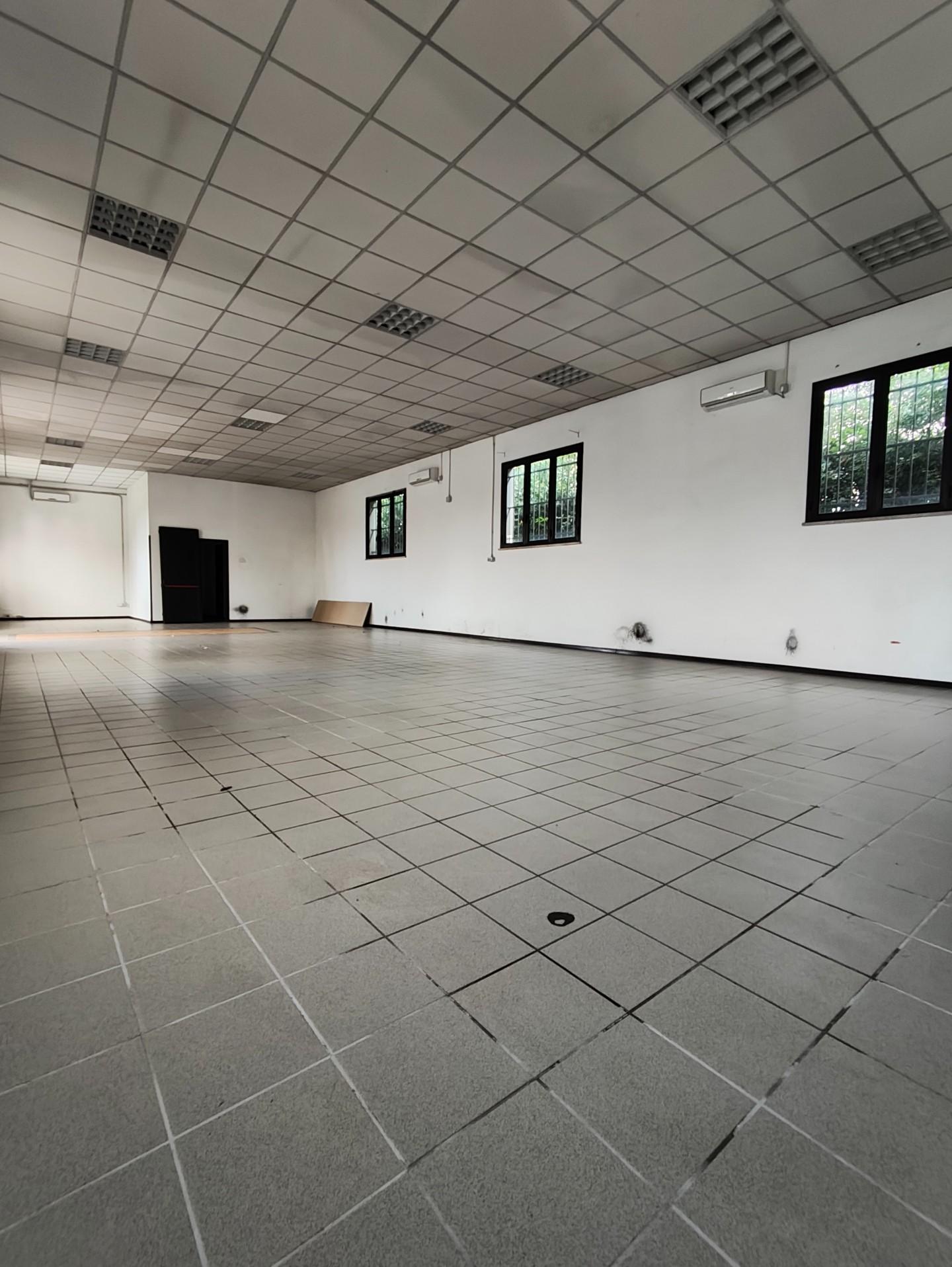 Capannone in affitto, Capannori santa margherita