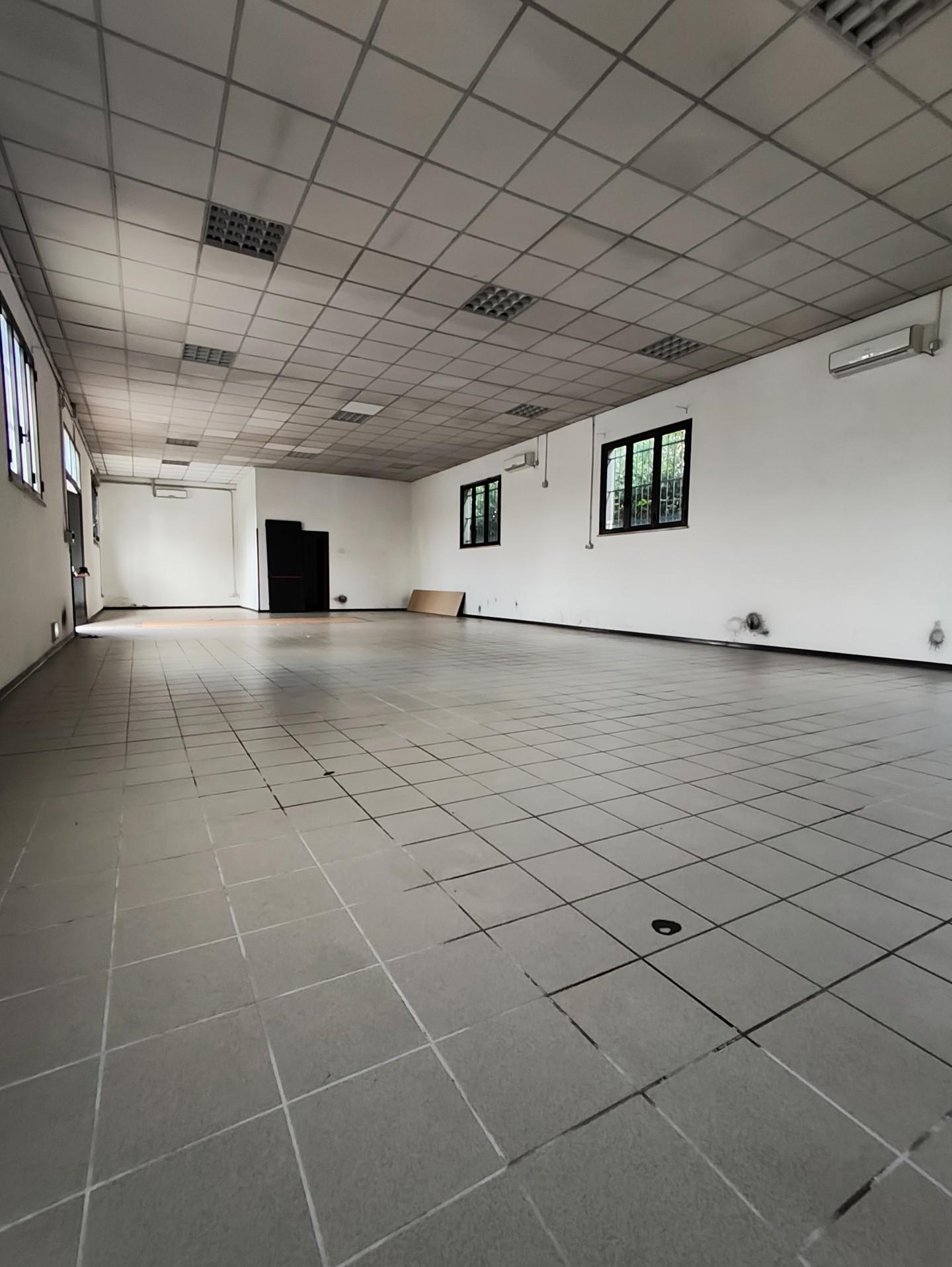 Capannone in affitto, Capannori santa margherita