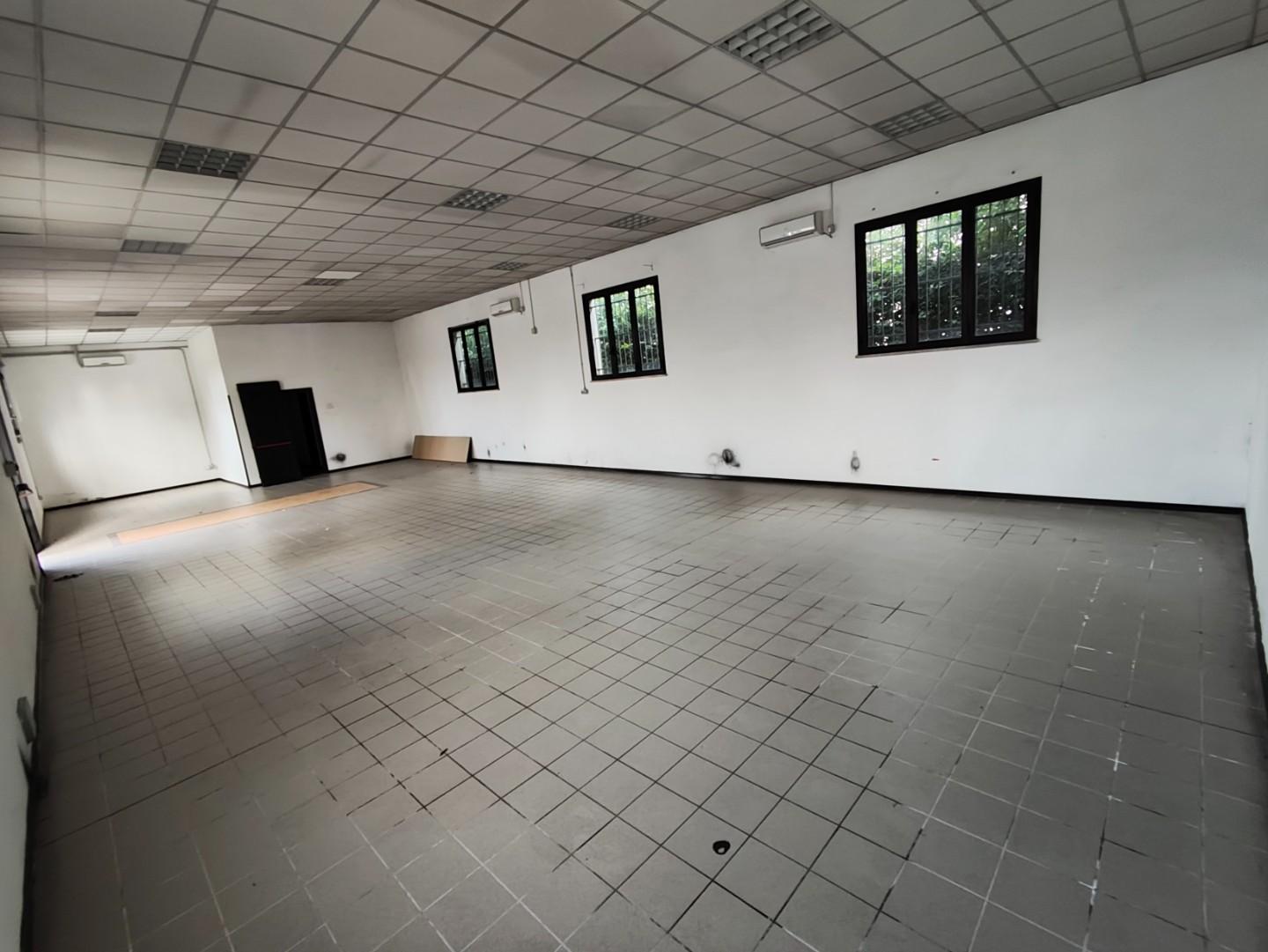 Capannone in affitto, Capannori santa margherita