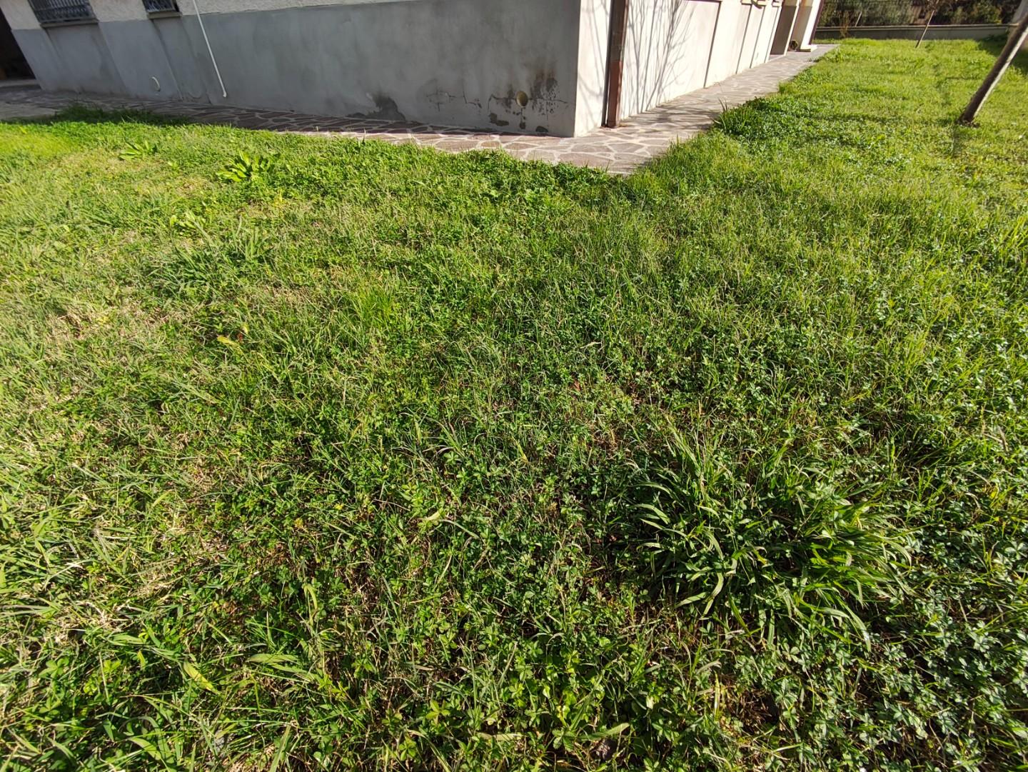 Villa con giardino a Lucca