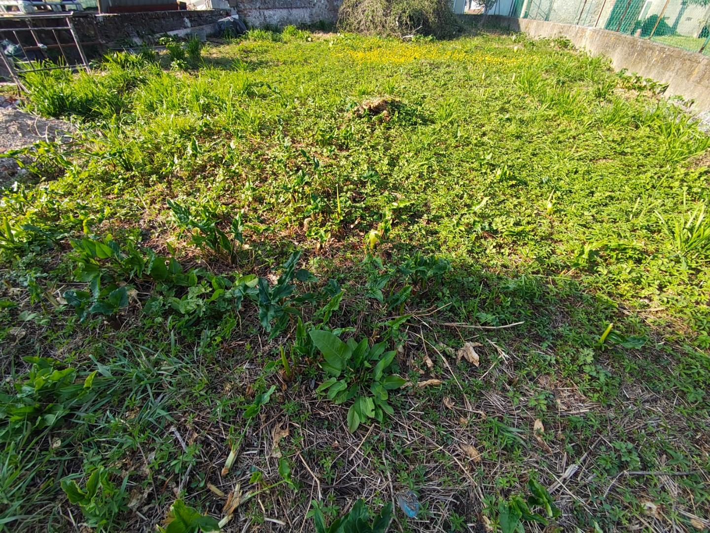 Casa indipendente con giardino, Capannori lunata