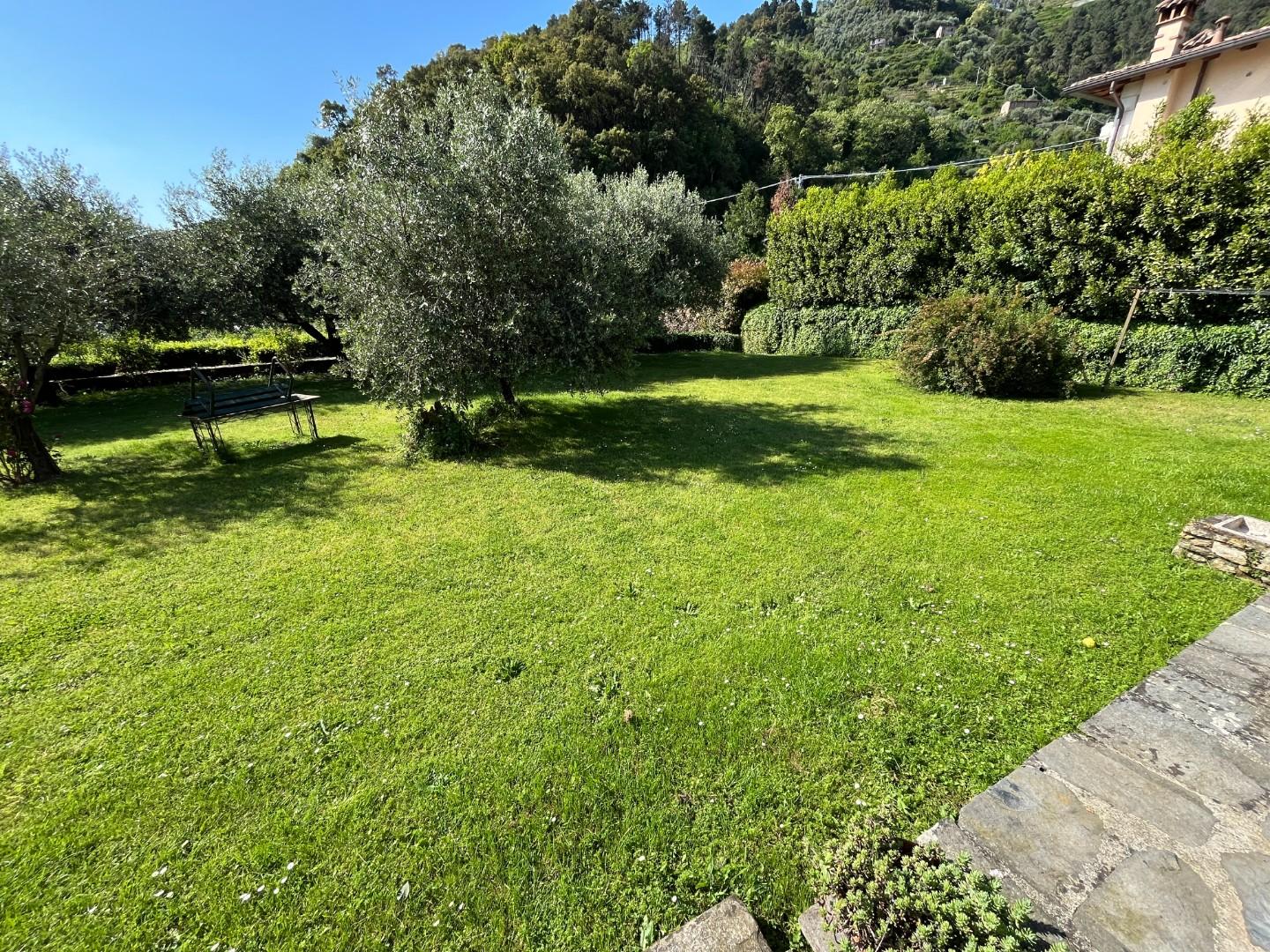 Casa indipendente con giardino, Montignoso capanne