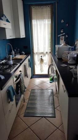 Quadrilocale arredato in affitto, Carrara marina di