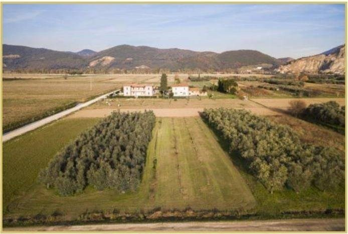 Villa con giardino a Pisa