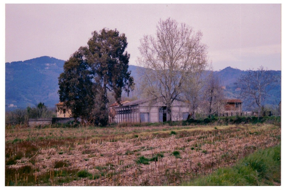 Rustico con giardino a Massarosa