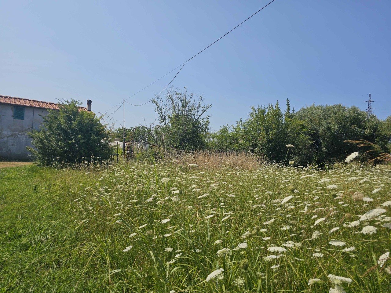 Rustico con giardino a Camaiore