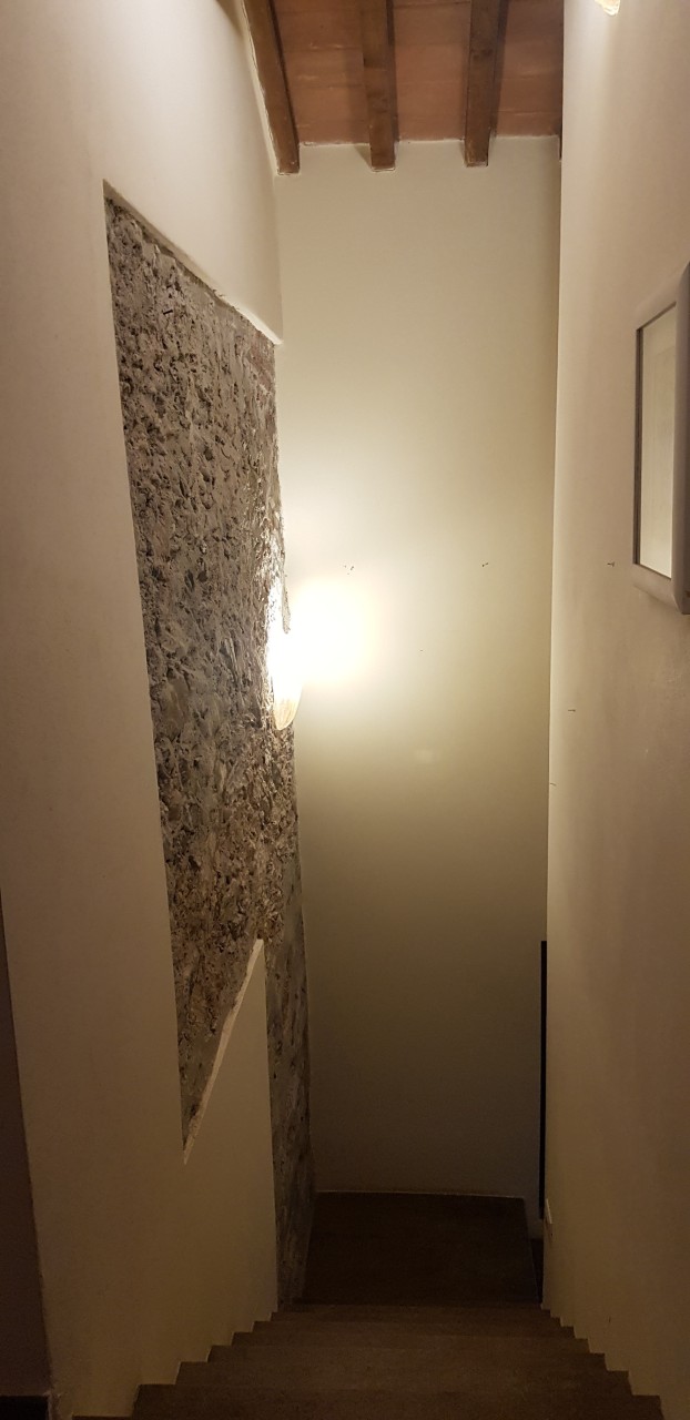 Rustico con giardino a Massarosa