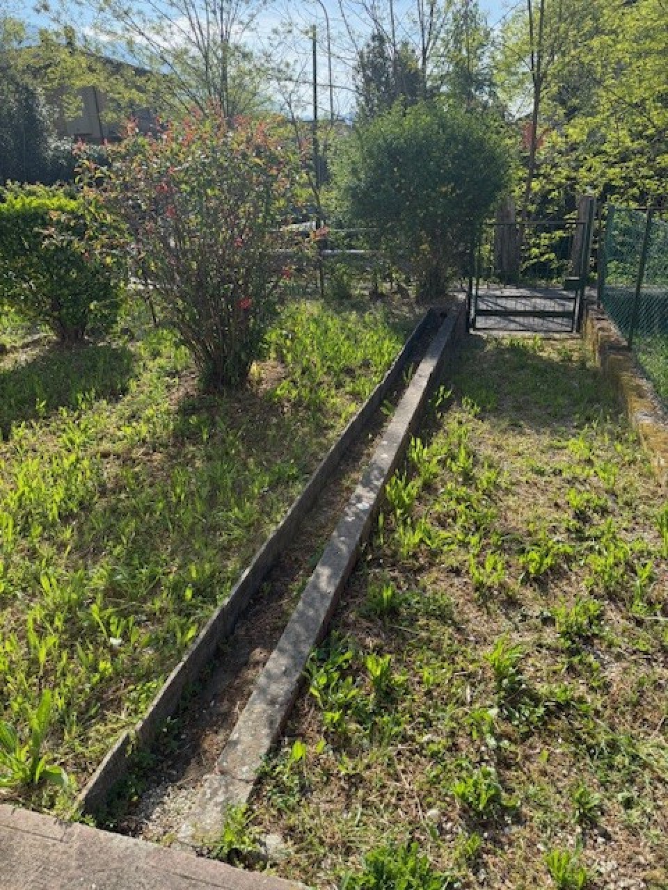 Appartamento con giardino a Camaiore