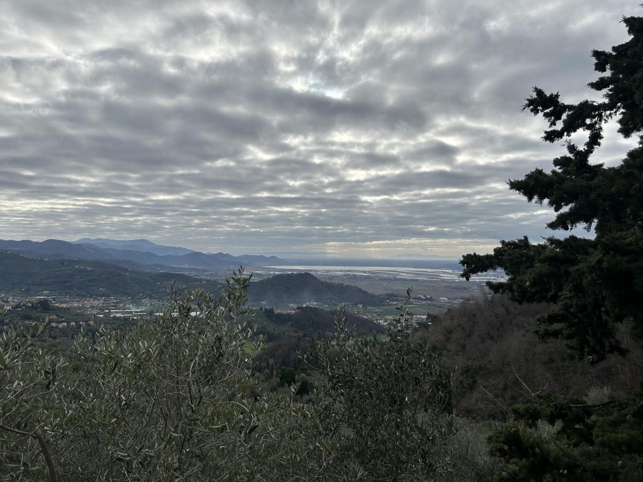 Quadrilocale con giardino a Massarosa