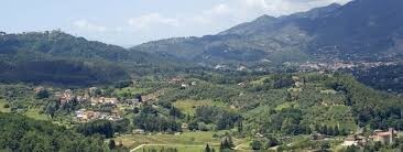 Quadrilocale con giardino a Massarosa