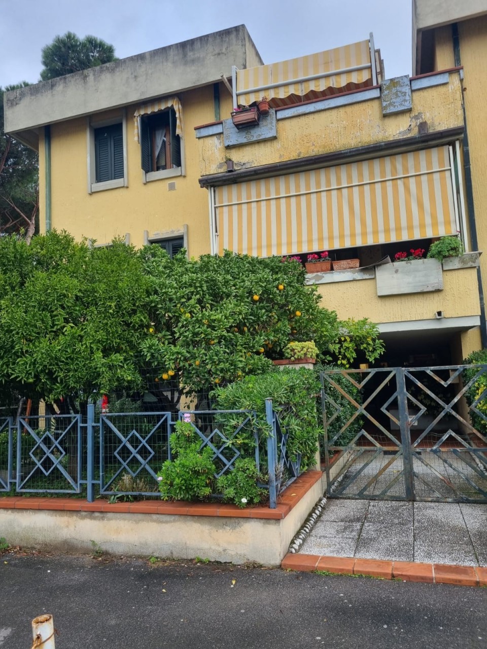 Casa indipendente con giardino a Viareggio