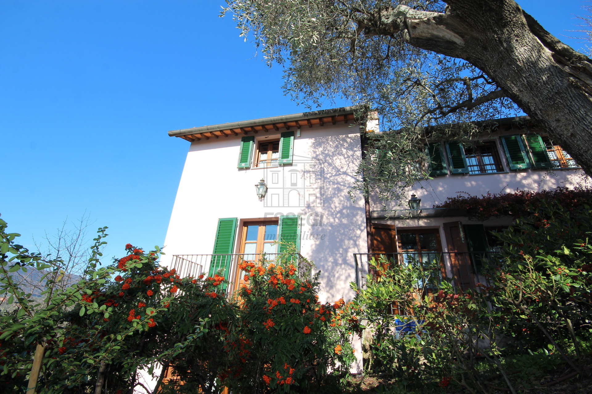 Casa indipendente con giardino, Lucca nord