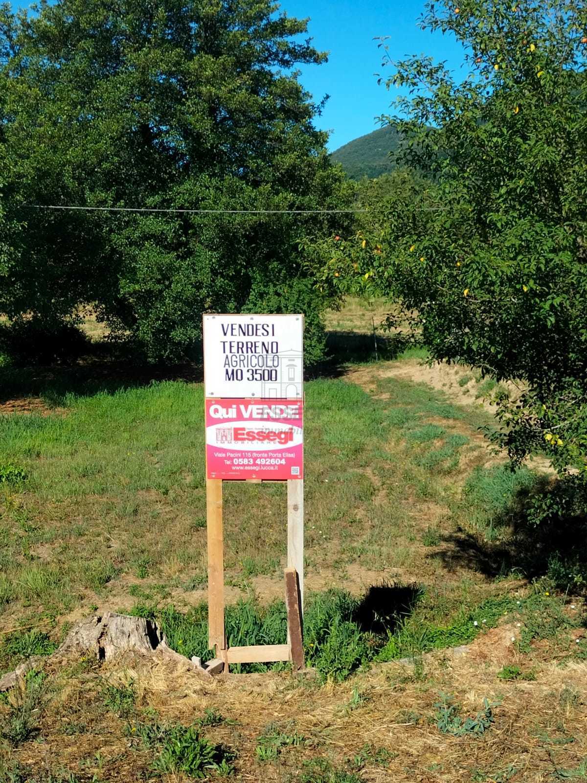 Terreno Agricolo in vendita in via per chiatri, Lucca