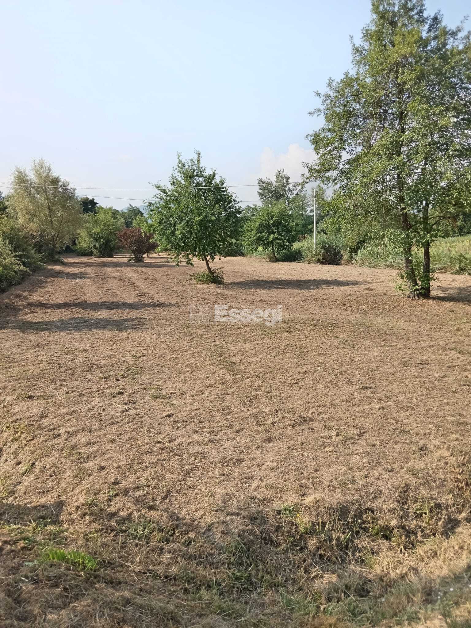 Terreno Agricolo in vendita in via per chiatri, Lucca