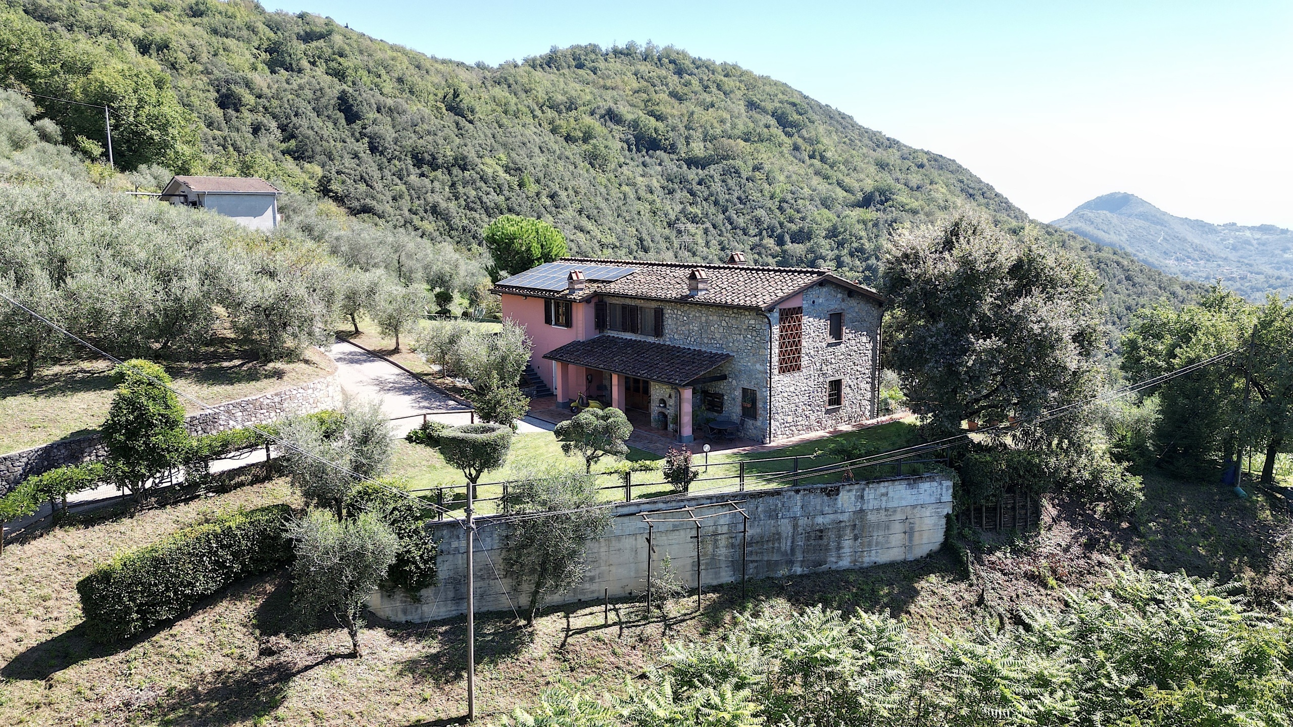 immagine annuncio 3 di 6