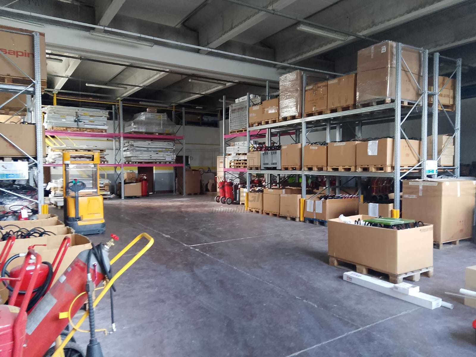 Capannone ristrutturata, Lucca sud