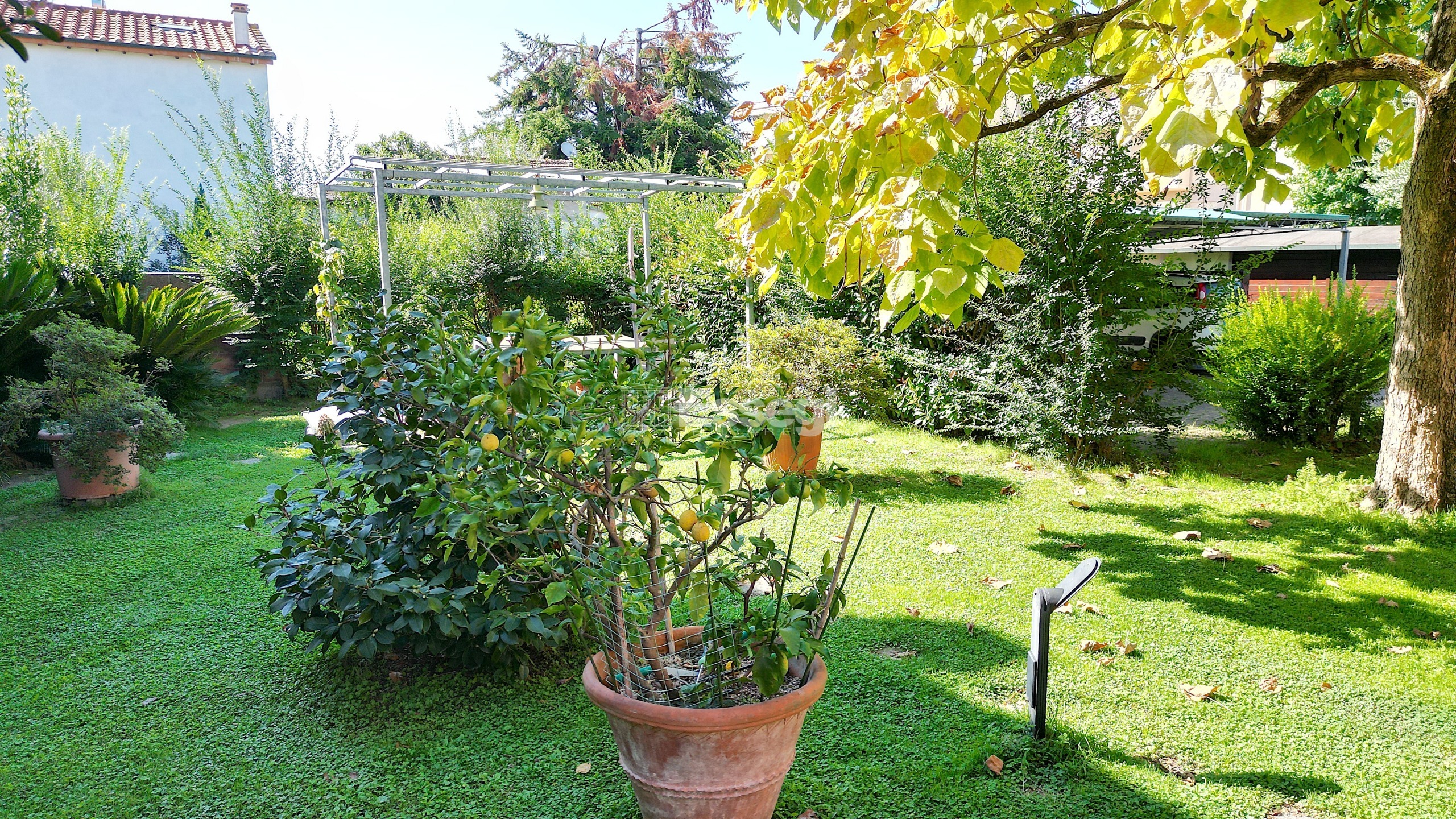 Casa indipendente con giardino in piazza aldo moro, Lucca