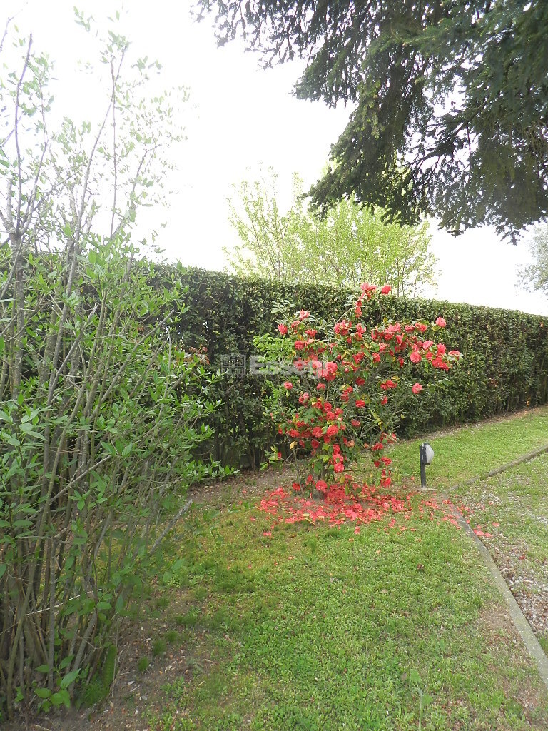 Villa con giardino in via di sorbano san concordio, Lucca