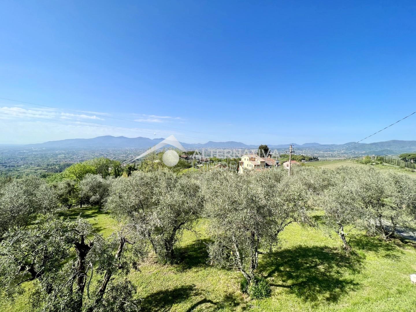 Casa indipendente in vendita, Capannori san pietro a marcigliano