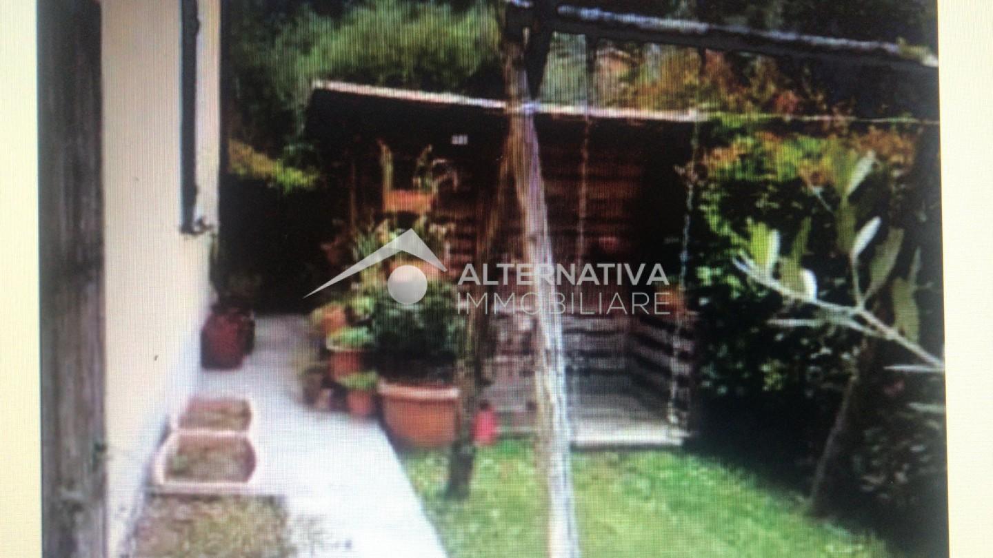 immagine annuncio 2 di 6