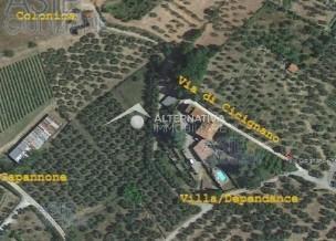 immagine annuncio 1 di 6