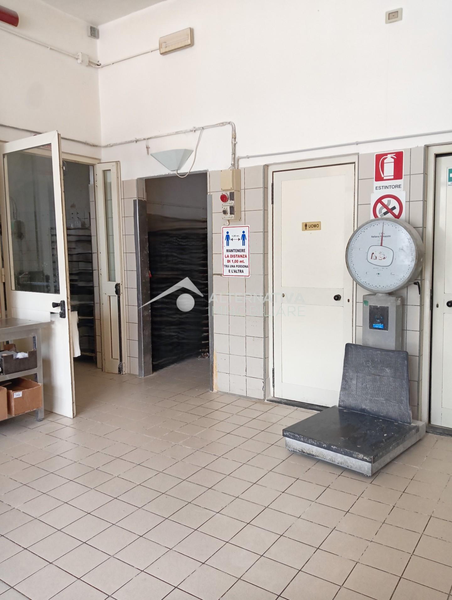 Laboratorio in affitto, San Giuliano Terme mezzana