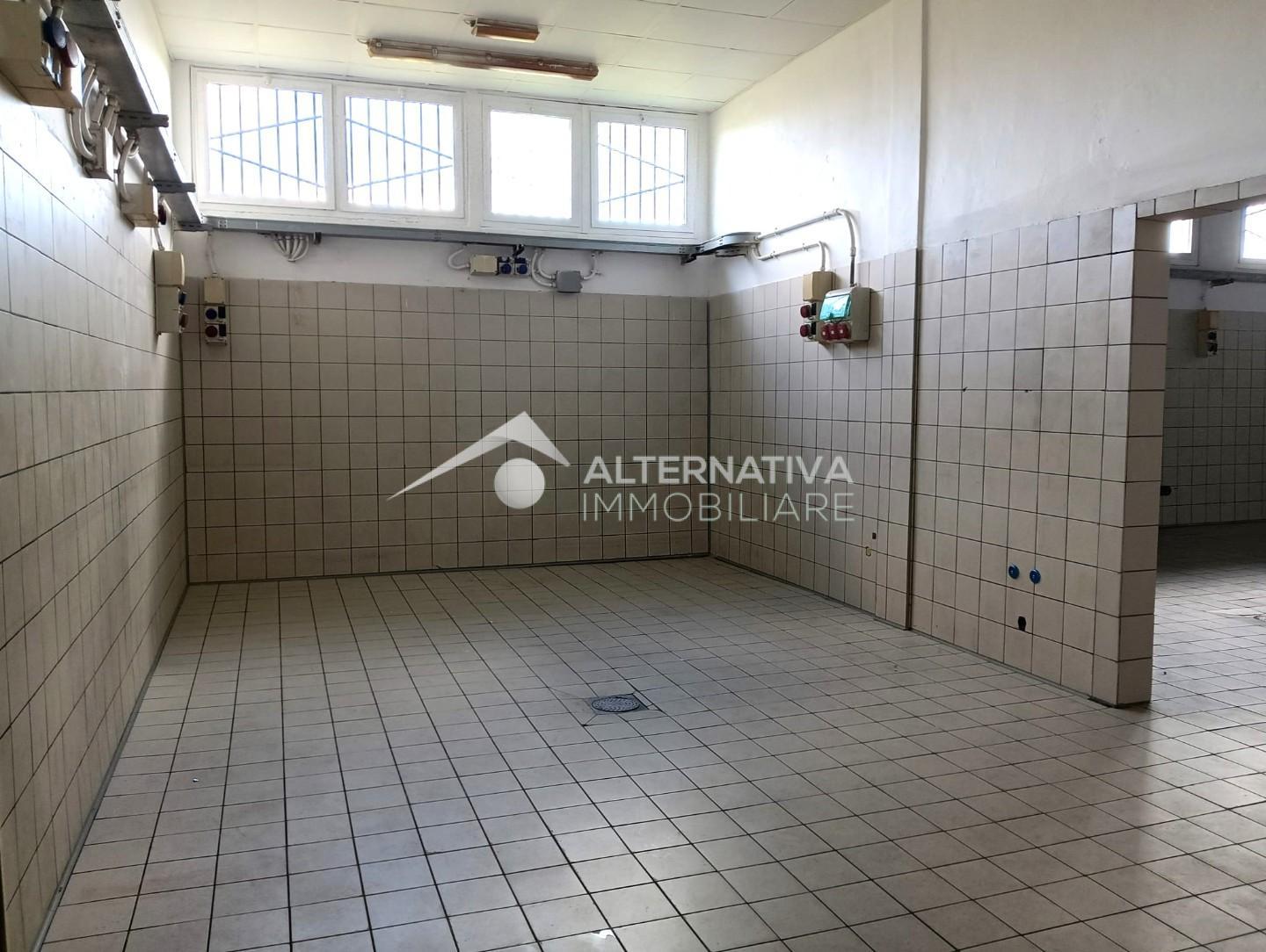 Laboratorio in affitto, San Giuliano Terme mezzana