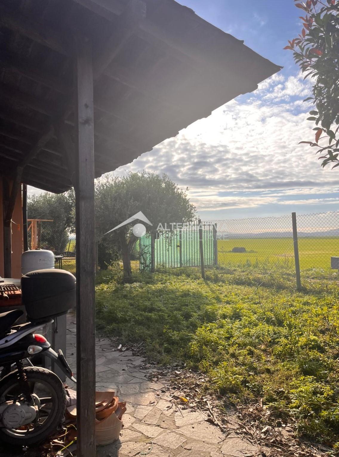 Villa con giardino, Pisa coltano