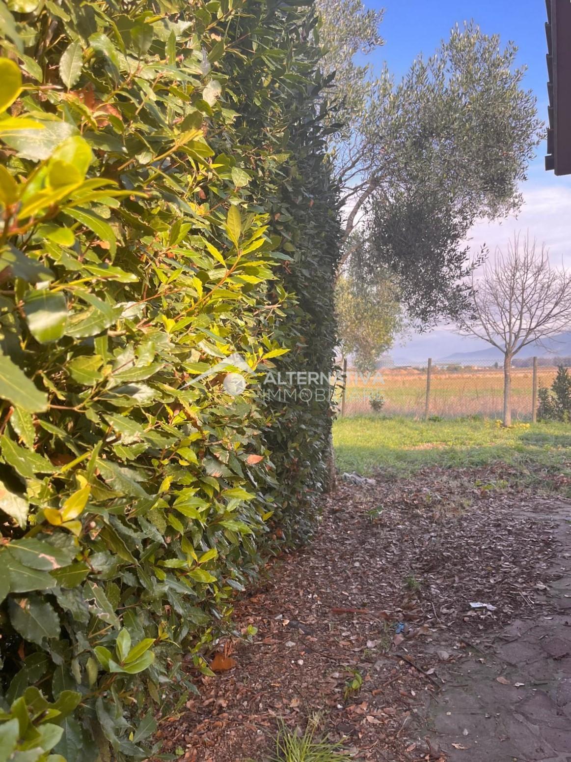 Villa con giardino, Pisa coltano