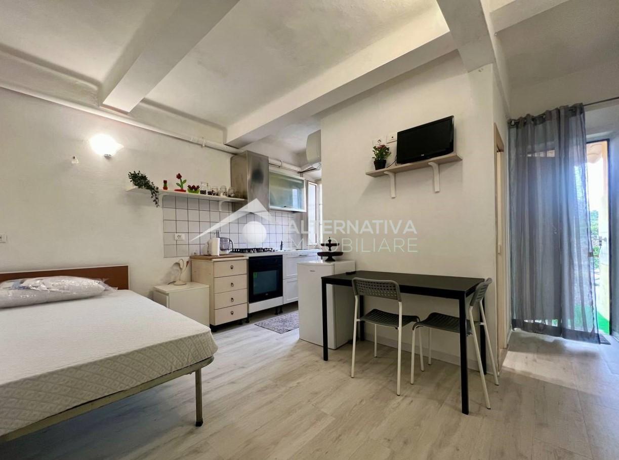 Monolocale arredato in affitto, Lucca nozzano vecchia