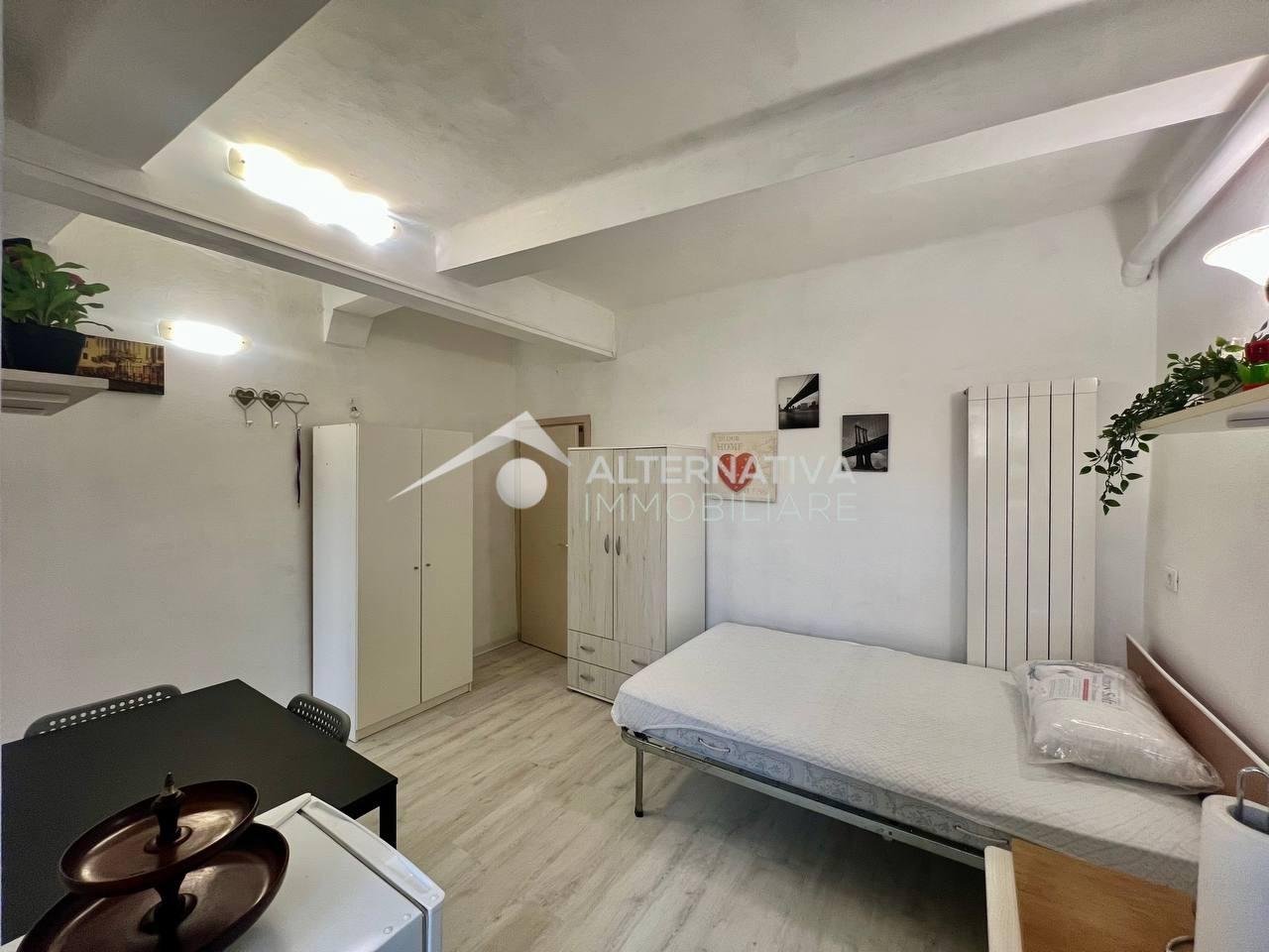 Monolocale arredato in affitto, Lucca nozzano vecchia