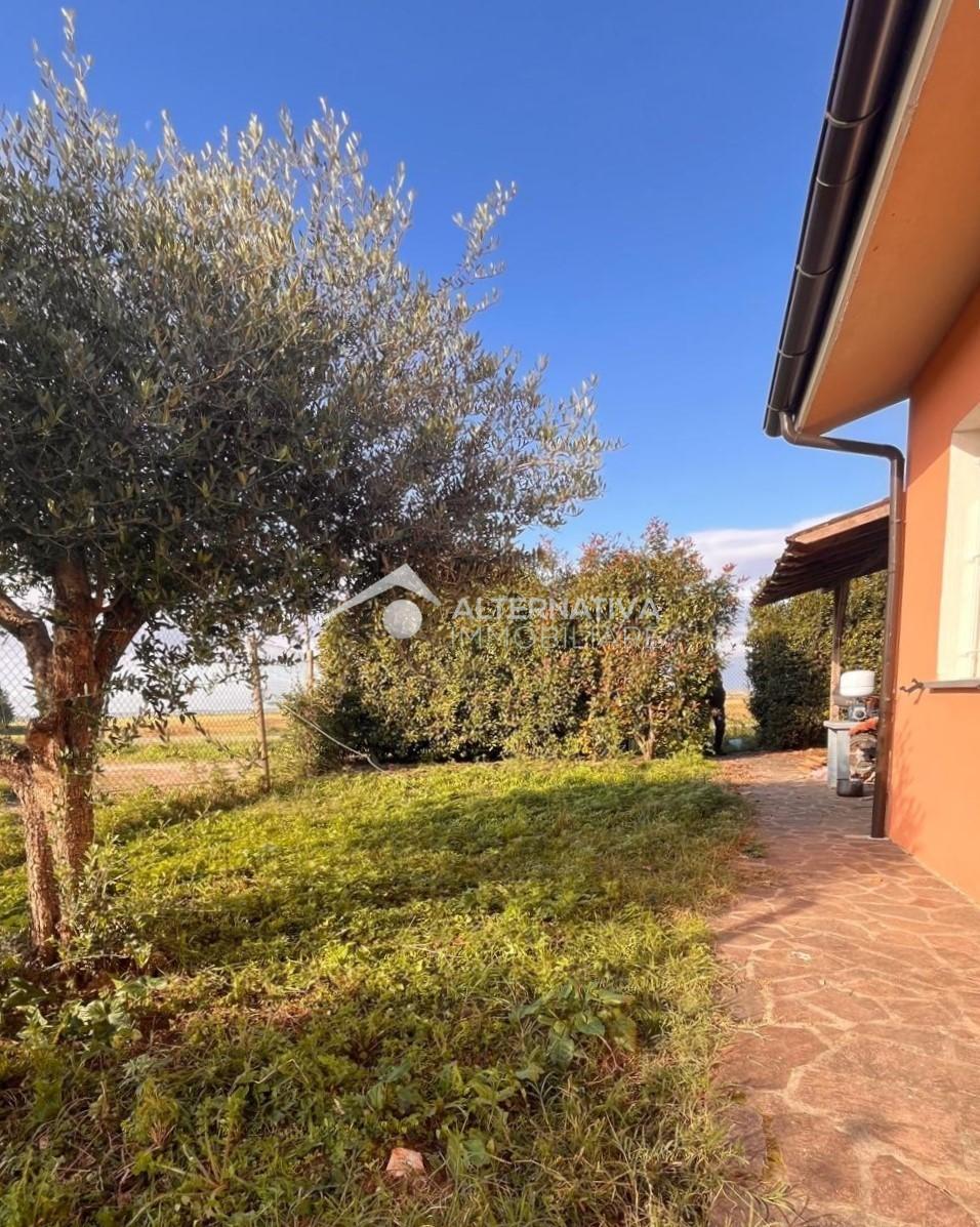 Villa con giardino, Pisa coltano