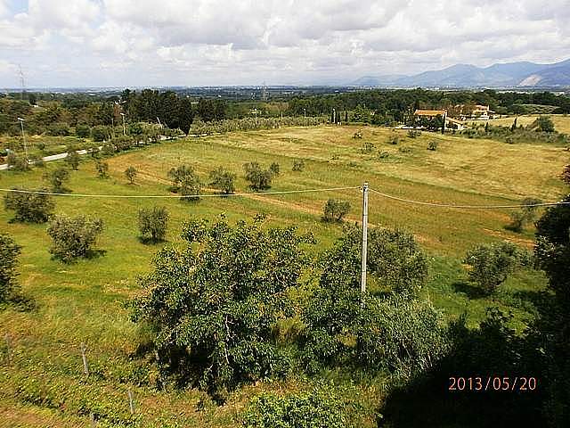 Terreno Edificabile in vendita a Fauglia